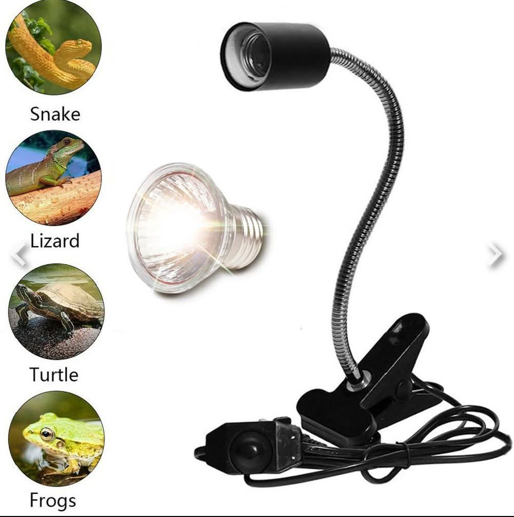 75W UVA/UVB Basking Light for Healthy Reptiles